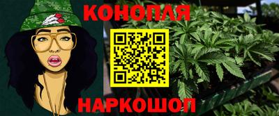 шишки Моздок