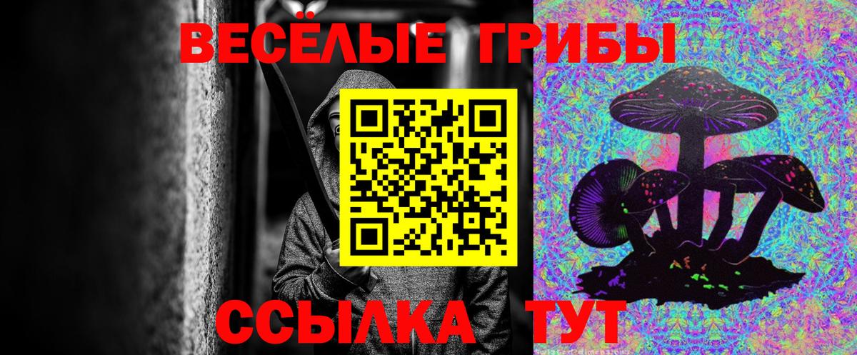 Псилоцибиновые грибы мухоморы  Вход с VPN  Ухта  Псилоцибиновые грибы мицелий 